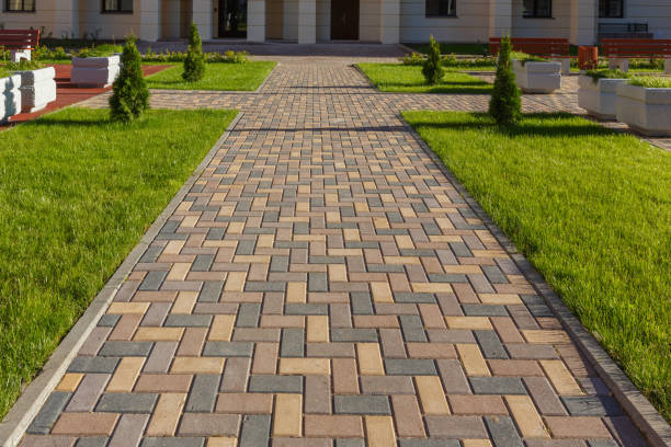 Best Concrete Driveway Paving in Lyford, TX